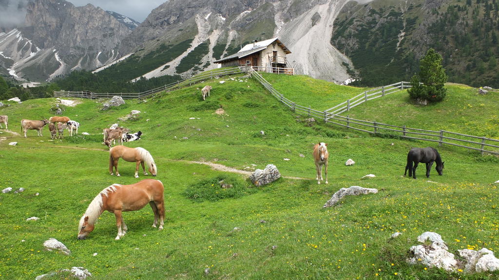 Garni Le Chalet Santa Cristina Val Gardena Eksteriør bilde