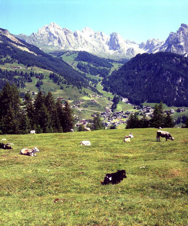 Garni Le Chalet Santa Cristina Val Gardena Eksteriør bilde