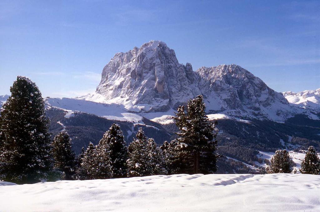 Garni Le Chalet Santa Cristina Val Gardena Eksteriør bilde