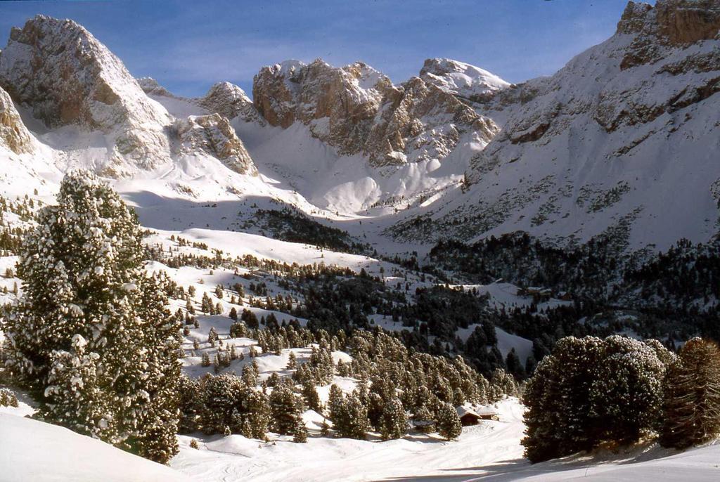 Garni Le Chalet Santa Cristina Val Gardena Eksteriør bilde