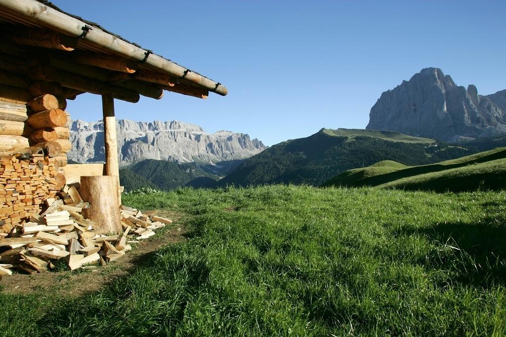 Garni Le Chalet Santa Cristina Val Gardena Eksteriør bilde